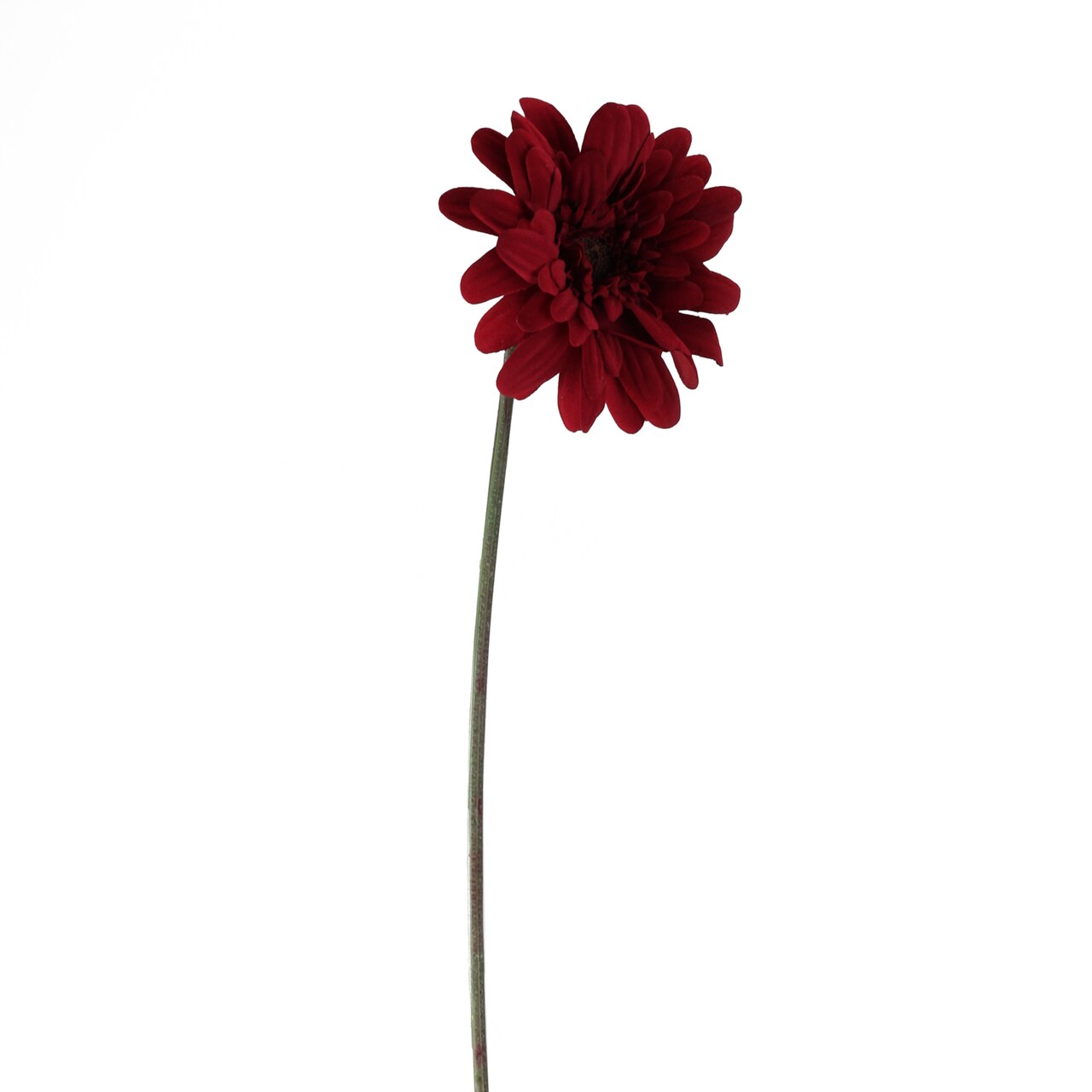Allstate 21.5" Deep Red and Brown Leafless Gerbera Daisy Artificial Floral Craft Pick